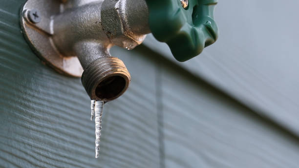 Best Sprinkler Systems  in Occidental, CA