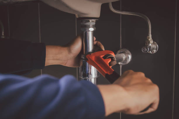 Best Clogged Drain Plumber  in Occidental, CA